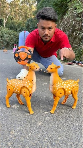 New RC Deer Surprise Unboxing 🎁 dise