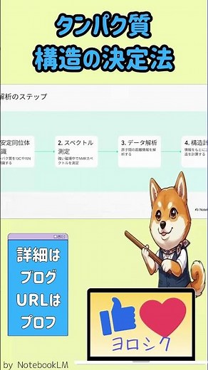 タンパク質の構造決定方 #分子生物学 #分子細胞生物学 #NMR #勉強