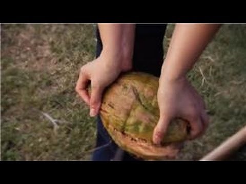 Deliciously Coconut : How to Remove the Green Shell From a Coconut