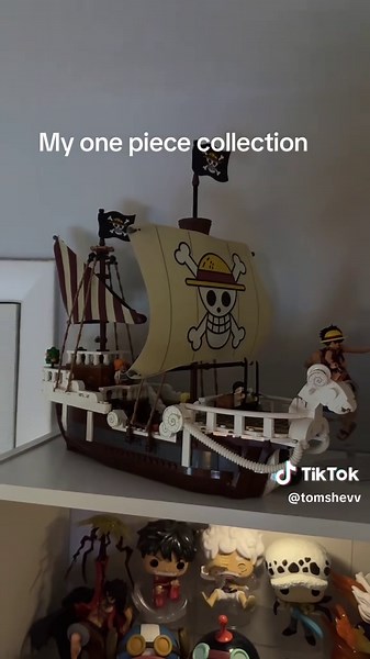 In detail of my one piece collection #room #anime #manga #collection #funko