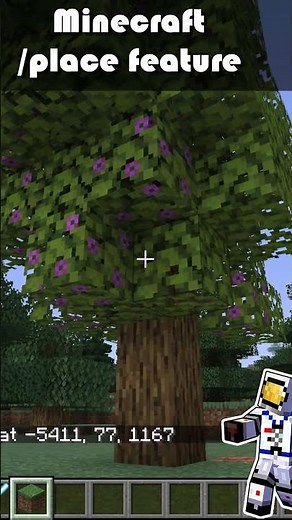 How to Use /place feature in Minecraft Java 1.21