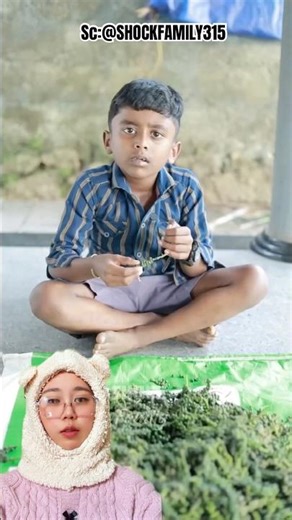 JADU HELP GRANDFATHER HARVEST PEPPER SEEDS!?️😀