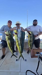 We had the opportunity to catch a school of dorado aboard the MAHI 54'. Living a dream. We caught dinner for our friends in Phoenix, Arizona. - - Book now at www.mahifishingcharters.com - #mahifishingcharters #mahimahi #mahischool #dorados #cabofishingreport #pescaenmexico #pescadeportiva #pescadeportivaenmexico #pescando #dorado #pescademar #fypreelsً #fypreelsジ #fypreelsシ゚viral #ᴠɪʀᴀʟᴠɪᴅᴇᴏs | MAHI Fishing Charters