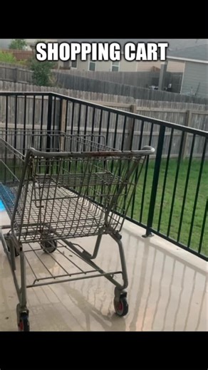 msruby (@madamerubarb)’s videos with The thinker - Mike🦁