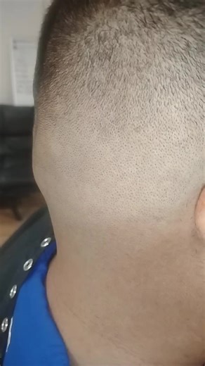 Oscars Barber Shop Peñitas TX (@oscars.barber.sho1)’s videos with original sound - Oscars Barber Shop Peñitas TX