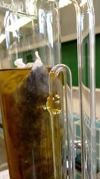 Extração por Soxhlet