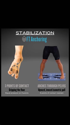 Integrity of the legs starts with the feet. Do your knees wobble & ache? Maybe your feet aren’t getting the attention they need? ⁠ ⁠ The heel, base of the big toe, and the base of the small toe are three points that anchor your body to the ground. They tell your body how to disperse force up through the knee and hip joints. And like a tripod with a broken leg, an imbalance in these points will lead to compensations as your body tries to stabilize itself.⁠ ⁠ Making sure those 3 points of contact 