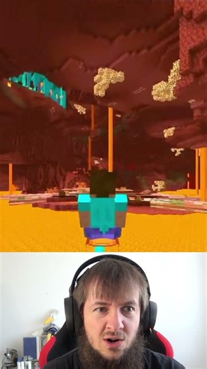 Minecraft Nether aber die NPCs sind flach