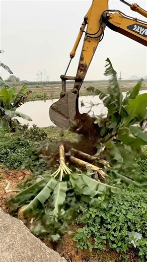 Smart excavators help people get work done.#funny #shorts