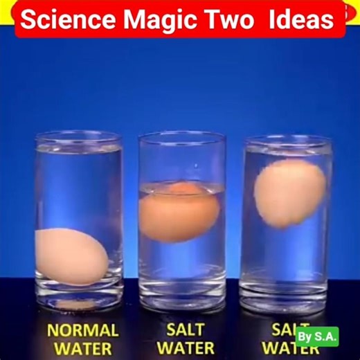 2 Science Magic Tricks in 1 Video 😱 Salt Water Egg + Coin Cleaning #Shorts