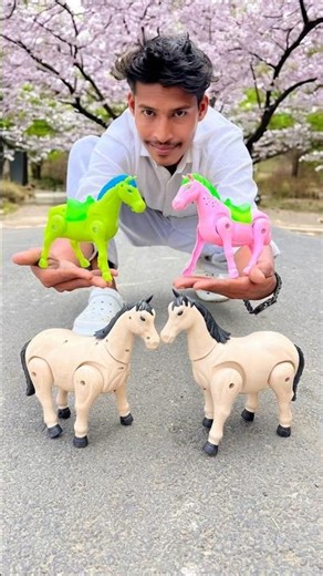 Remote Control Horse Small & Big Dukan Unboxing 🥹