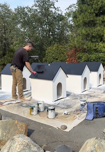 DIY Dog Houses for Neighbors: 6 Built in One Go!