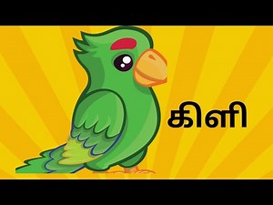 கிளி பத்து வரி கட்டுரை | 10 line on parrot in tamil | parrot essay in tamil | Achu kid |