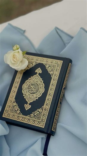 dar e nabi par. #beautiful #love #makkamadina #allah #naat #islamicvideo #islamicstatus #islam