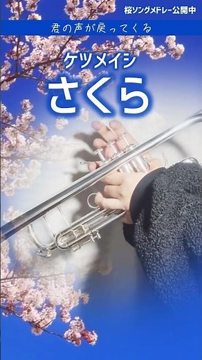【ケツメイシ / さくら🌸】トランペット演奏