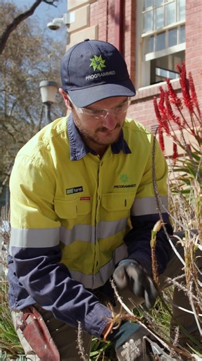 Leading the way in sustainable open space management ⚡🌱 At @adelaideuni, we’re proud to be shifting the dial through the use of electrified plant equipment — reducing emissions, minimising noise and improving efficiency across campus landscapes. By partnering with innovative suppliers like Greenworks, we’re helping push the industry forward and setting a new standard for environmentally conscious, high-performance open space management. This is what progress looks like. #ProgrammedPropertyServi