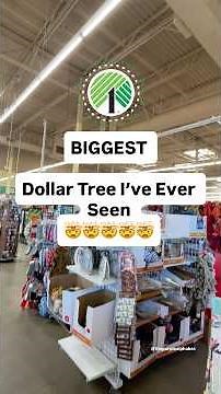 Biggest Dollar Tree I’ve EVER Seen #dollartreefinds #dollartree