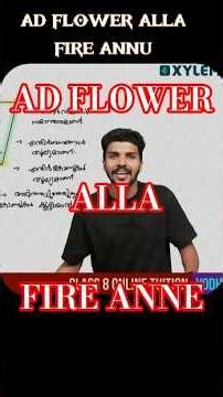 Song at PEAK 📈💥 #shorts #shortsfeed #mustwatch #rap #rapper #song #xylemlearning #xylemclass9