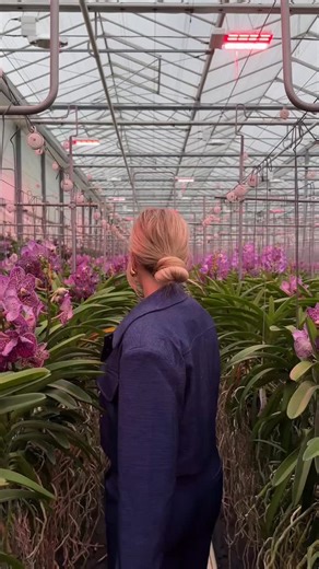 A year full of flowers, creativity & connection! 2025 in bloom! 💐✨ From early-morning sourcing to global deliveries, 2025 was bursting with color, quality, and collaboration. Thanks to our trusted florists, growers, and partners, we delivered thousands of fresh flowers straight to flower shops — from Dutch greenhouses to *South America Direct* roses and our growing *Kenya Direct* range of sustainably sourced varieties. 🌍🌷🌿 This year, more florists than ever discovered the power of *direct fl