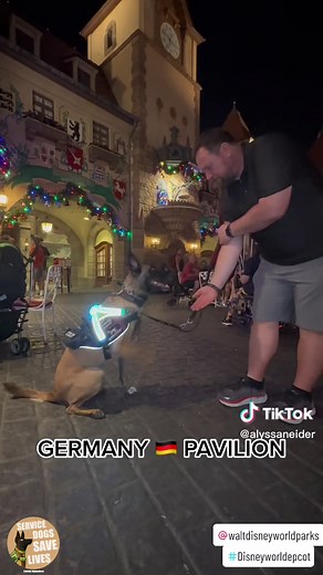Kala The Service Dog on TikTok