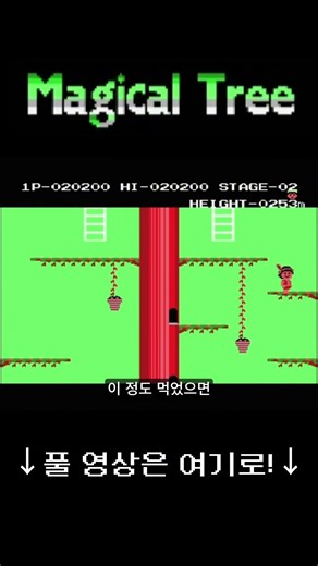 적당히 따면 멈출 줄 알아야한다 | 요술나무