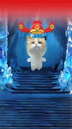 Wishing everyone a prosperous and lucky year! #cat #pets
