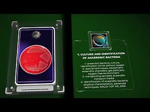 Culture and Identification of Bacteria