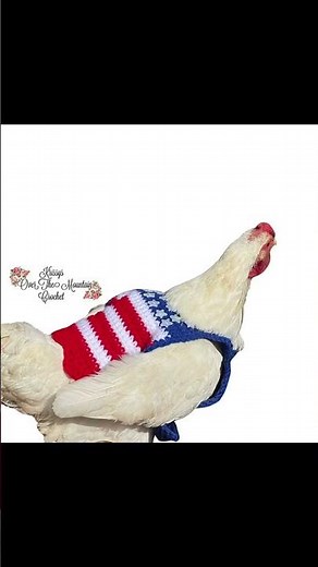 Chicken Sweater Free Crochet Pattern - #crochet #crochetdesign #crochetpattern