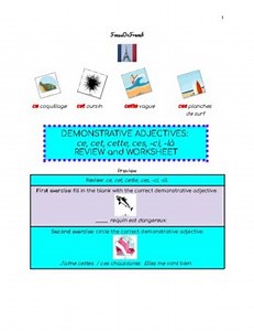 FRENCH Demonstrative adjectives ce cet cette ces review exercises worksheet