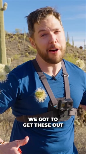 Removing a painful cactus! #cholla #plants #cactus #bravewilderness | Brave Wilderness