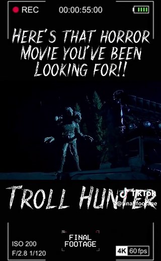 Troll Hunter (2010) • A group of students investigates a series of mysterious bear killings, but learns that there are much more dangerous things going on. They start to follow a mysterious hunter, learning that he is actually a troll hunter • #finalfootage #foundfootage #horror #scary #horrorfilm