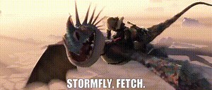 Stormfly, fetch.