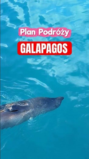 What's worth seeing in the Galapagos - the most beautiful places 🌴 #galapagos #walacje #podróż