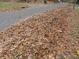 Haverford Township Leaf Collection Schedule