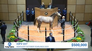 2.3K views · 109 reactions | ️ ICYMI: Watch Hip 227 c. Justify o/o Champagne Royale sell for $500,000 to top the first session of the 2023 Kentucky October Yearlings sale! #FasigKY | Fasig-Tipton | Facebook