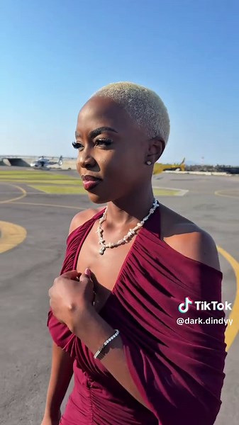 Collecting Moments Not Things: Cape Winelands Vlog Experience