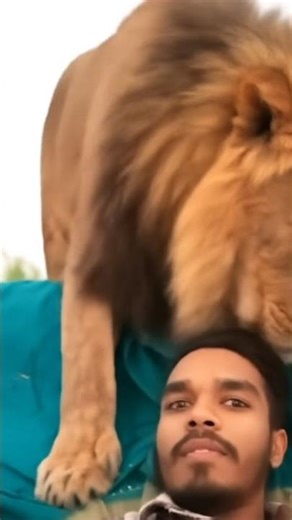 timer🐅 #anime #slowed