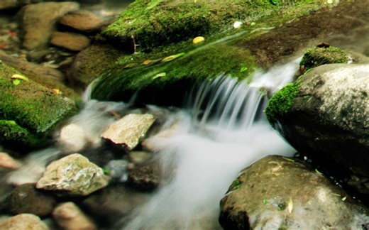 指划修图（Snapseed)软件功能及基础操作介绍（下）