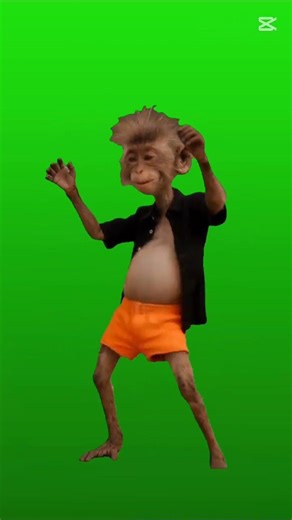 ١٠ فبراير، ٢٠٢٦