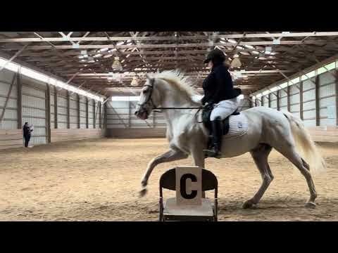 DSO April 26th - Melanie and Pluto Matina 2nd Level Test 1 