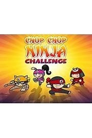 Watch Chop Chop Ninja Challenge (no dialogue) Season 1 Episode 6 - Catch the Fly (Jo)