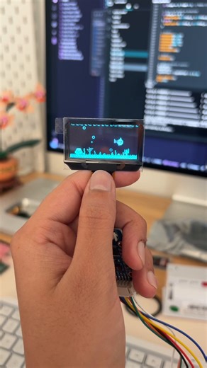 I’m working on a little desk aquarium with one of these transparent OLEDs 😌