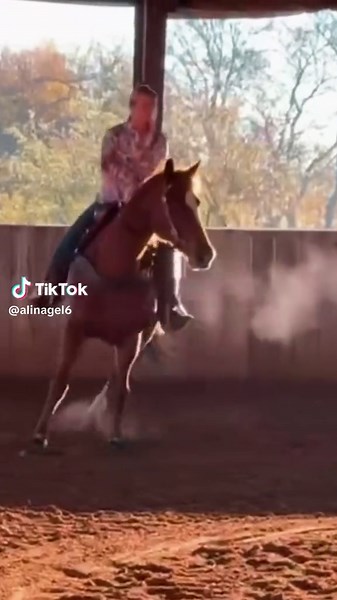 28 hrs in the car for 30 mins with fallon, fergie should be here today!!will get at C5 in december!