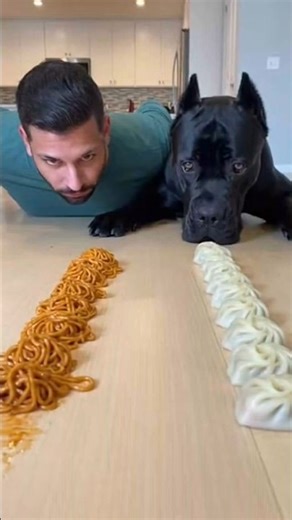 Man vs Dog Food Race 😱 Noodles vs Momos | Who Wins? 🐶🍜