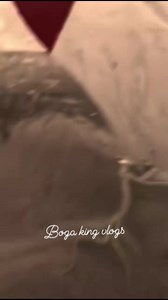 Kung Fu Grasshopper 😱😱🫡 | Boga King Vlogs