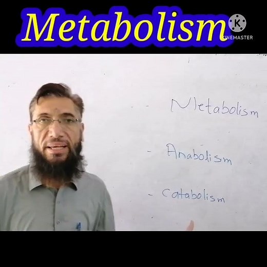 Metabolism | Anabolism | Catabolism