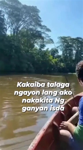 Nakita muna merun din basa inyo ganito isda #amazing #OMG #followers #highlights #fbreels #fish | Ria Alba