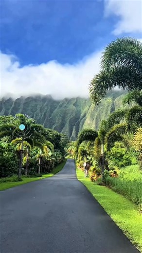 Havaí: O Arquipélago Mais Encantador do Pacífico! 🌺🌊 Cada ilha uma surpresa: praias paradisíacas, vulcões, florestas e cultura vibrante. Este é o Havaí! 🏄 Oahu - A Ilha Vibrante Capital Honolulu, praia de Waikiki animada, surf de classe mundial e a icônica cratera Diamond Head com vistas espetaculares do Pacífico. 🌅 Maui - A Ilha Mágica Parque Nacional de Haleakalā colorido, lendária Road to Hana com cachoeiras escondidas e mirantes de tirar o fôlego. 🏞️ Kauai - A Ilha Jardim Waimea Canyon,