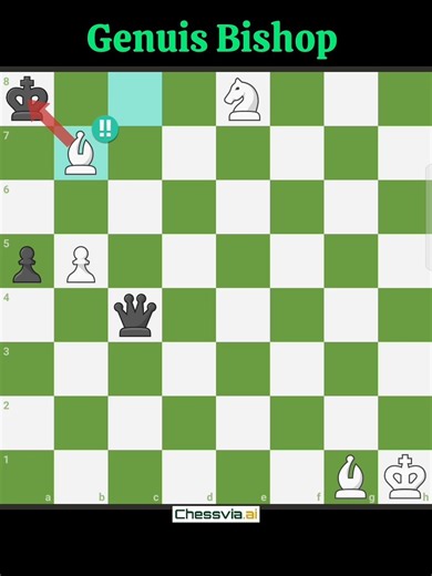 genuis Bishop Sacrifice 🤔💎#chess #chessmemes #checkmate #chessmaster #gothamchess #rook