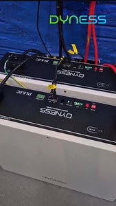 Guide to Setting Up Dyness DL5.0C with Hybrid Inverter